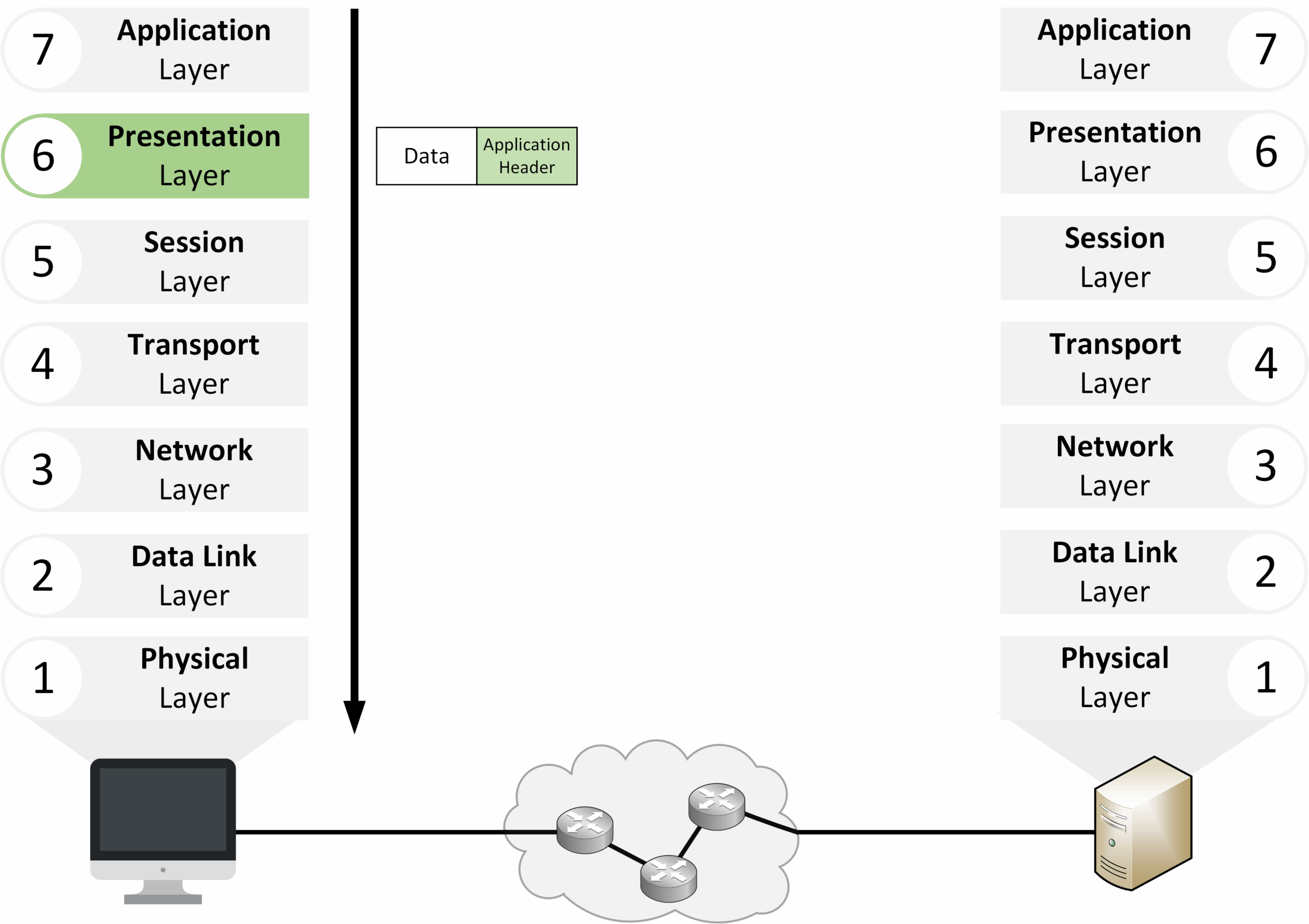 Presentation layer of the OSI model handling data formatting and encryption