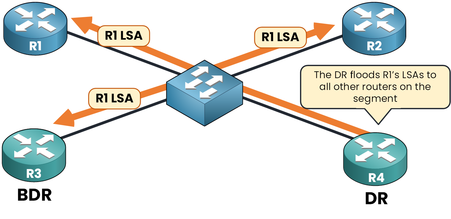 OSPF DR and BDR 5 OSPF Designated Router forwarding LSA to all routers after receiving it from R1, with BDR as backup