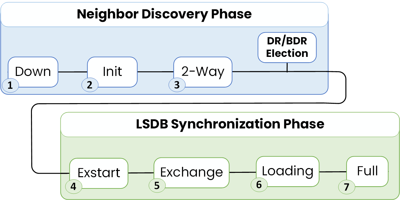 OSPF DR and BDR 6 OSPF neighbor states showing DR BDR election at 2-Way state during neighbor discovery phase